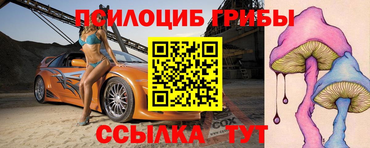 Псилоцибиновые грибы Cubensis  Вход с VPN  Пугачёв  Псилоцибиновые грибы Psilocybine cubensis 